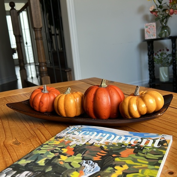 Beautiful Wooden Rectangular Home Decor Tray Magazine included, Pumpkins not. - Picture 6 of 7